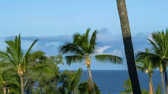 时间流逝-云移动在海洋背后的棕榈树视频素材