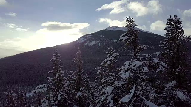 空中飞过树木，展现了日出时广袤的森林和高山视频素材