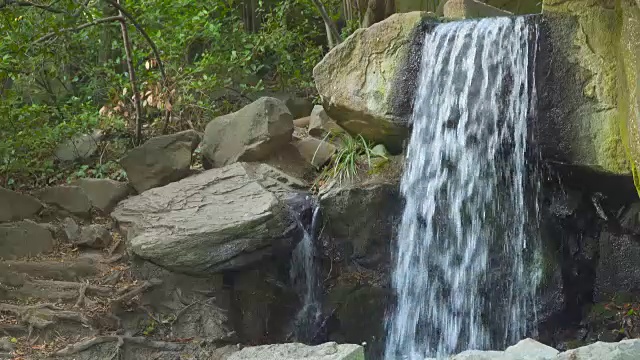 水在森林的石头之间流动视频素材