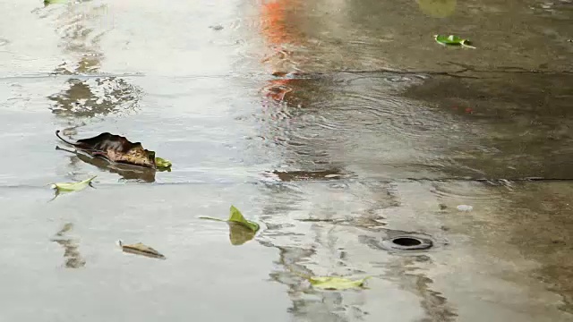 雨点溅落在柏油路上。视频素材