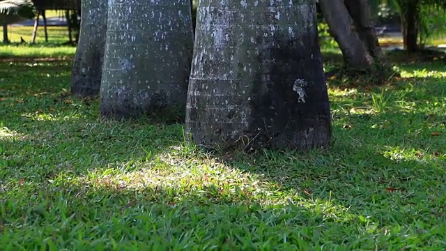 男人和女人穿着牛仔裤走在原地，等待着某人。视频素材