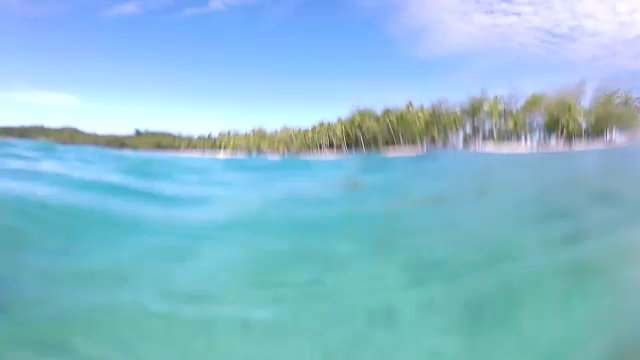 斐济蓝礁湖的海洋生物视频素材