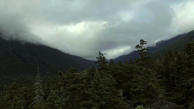 空中拍摄从森林上升到一个戏剧性的风景视频素材