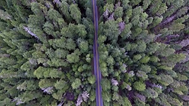 从上到下移动鸟瞰图的道路通过森林与一辆汽车驾驶视频下载