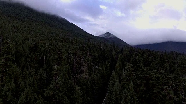 空中拍摄从森林上升到一个戏剧性的风景视频素材