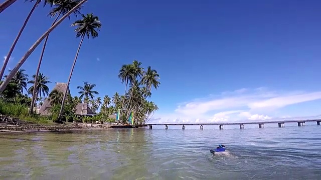 女人浮潜在斐济的一个热带度假胜地视频素材