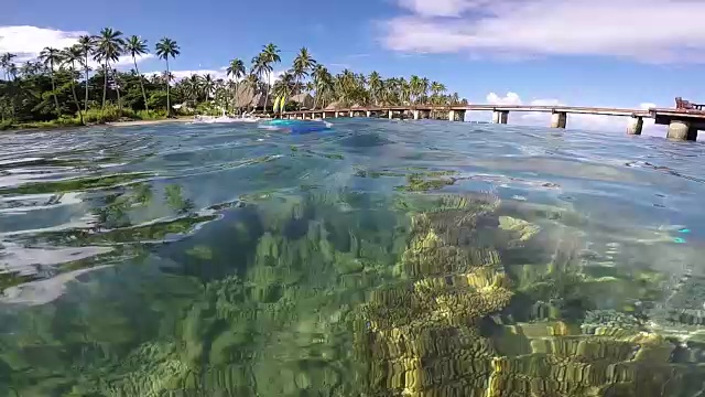 女人浮潜在斐济的一个热带度假胜地视频素材