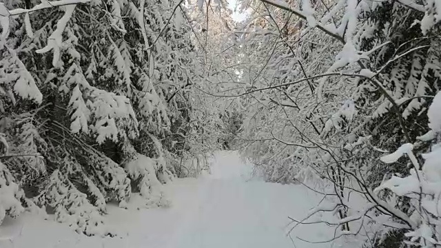 雪地里的路视频素材