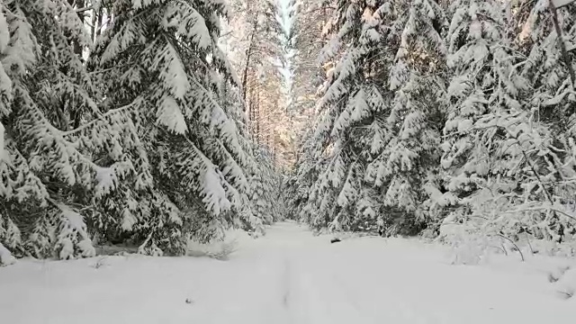 雪地里的日出视频素材