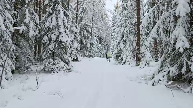 冬季森林里的滑雪者视频素材