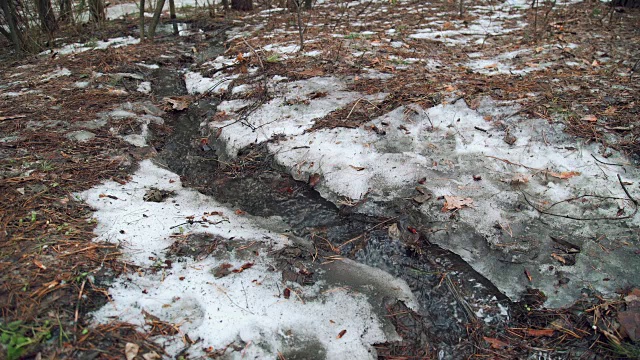 融雪中的流水视频素材