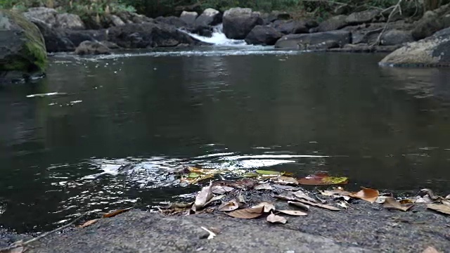 位于热带雨林深处的一条小河。视频素材