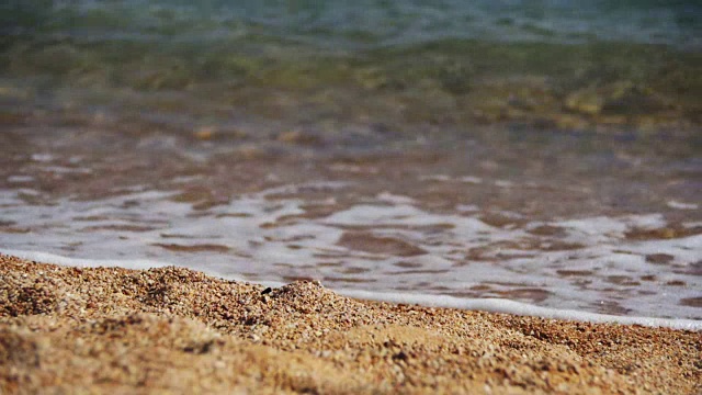 埃及红海的沙滩和海岸上的海浪视频素材