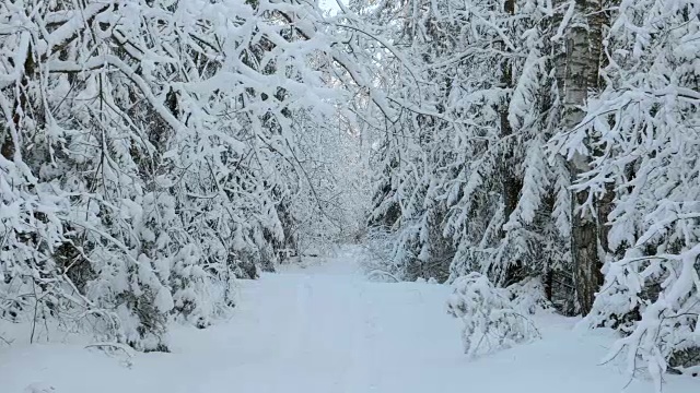 雪地里的人行道视频素材