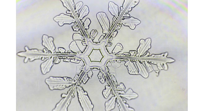 雪花的时间流逝视频素材