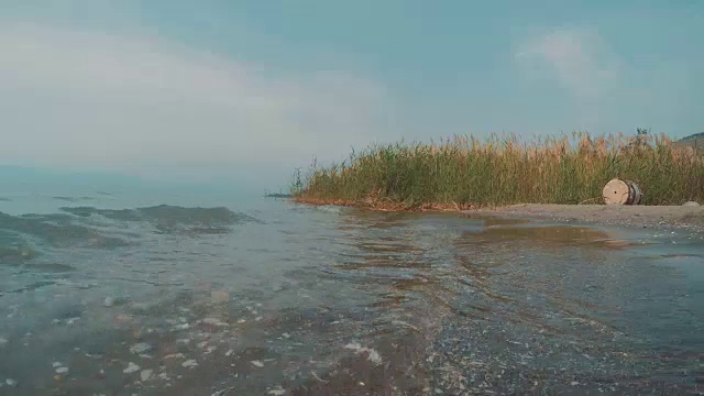 夏日的加利利海，岸边有卵石和植物视频素材