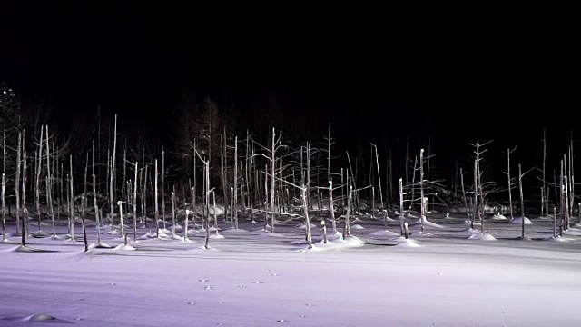 在日本北海道北，蓝色的池塘照明照亮了冬天的夜晚。冬天池塘结了冰，晚上就亮起来了。视频素材