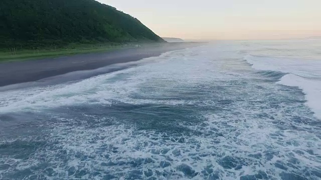 航拍:海滩上的鸟儿。在夕阳西下的海滩上驾驶直升机。视频素材