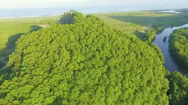 鸟瞰图。飞过美丽阳光灿烂的树林。树木生长在悬崖峭壁上。视频素材