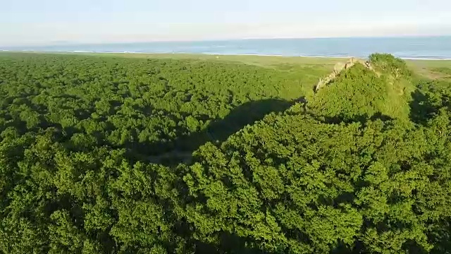 在空中与树木的悬崖。在大海的背景上，阳光闪闪发光视频素材