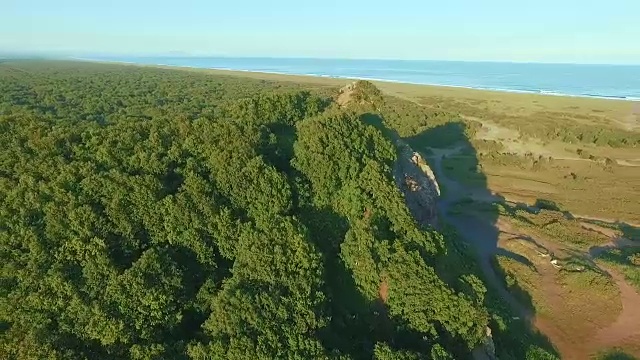 飞过一片阳光明媚的森林，山上的树木。航空摄影机镜头。景观全景视频素材