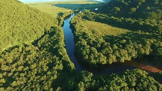 鸟瞰图。山涧流入大海。日落时分，山河在森林中流淌。视频素材