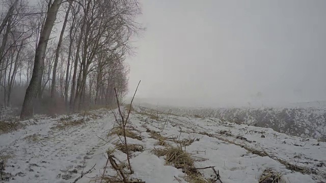 冬季森林附近有暴风雪，时间流逝视频素材