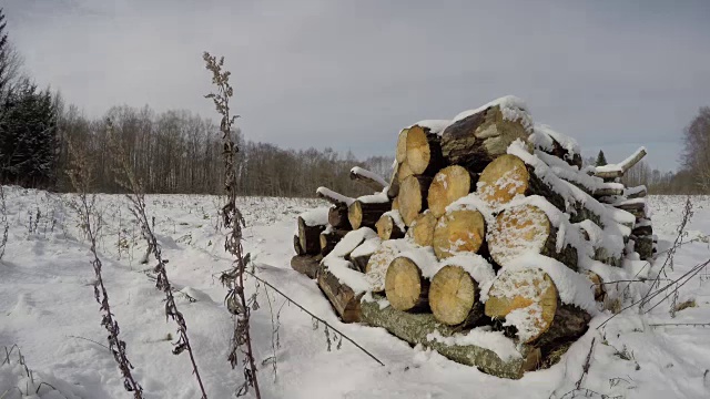 -木柴在冬天的雪地和云移动，时间流逝视频素材