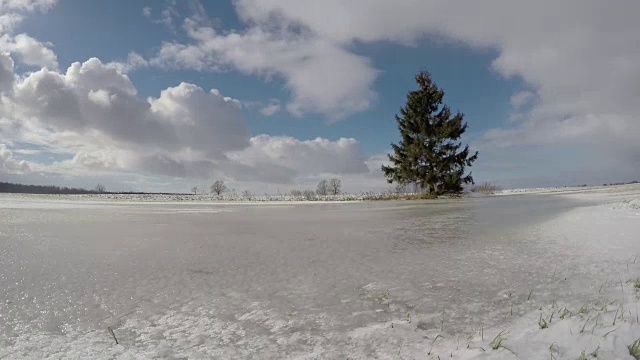 冬季冰雪景观与冷杉树在田野，时光流逝视频素材