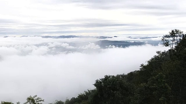 山顶上的薄雾视频下载