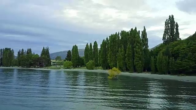 鸟瞰图的瓦纳卡树，瓦纳卡湖，新西兰视频素材