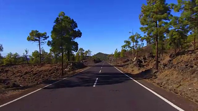 在特内里费岛泰德山上的云和树之上的道路视频素材