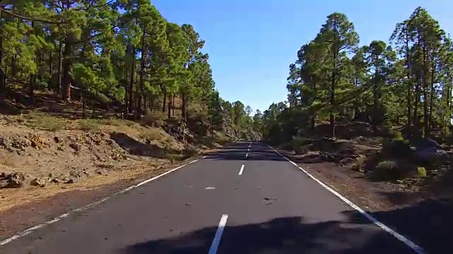 在特内里费岛泰德山上的云和树之上的道路视频素材