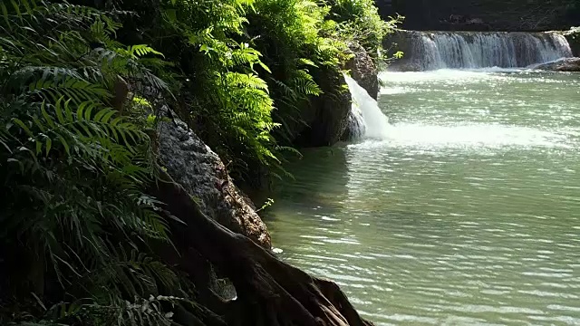 从岩石上流过的瀑布溪流视频素材