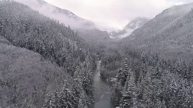 4K直升机观看灰色雾在森林山顶与雪花落在山谷河视频素材