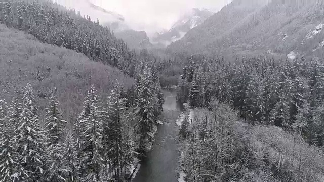 高山森林山谷中，雪花飘落在冰冷的河流上，冰冻的冬季景观视频素材