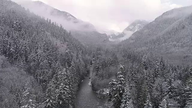 空中潘美丽的高山森林山谷与冰雪上的寒冷河在冰冻景观视频素材