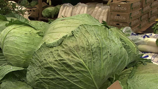 泡菜用蔬菜，北海道，日本视频素材