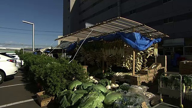 户外泡菜蔬菜水果店，北海道，日本视频素材