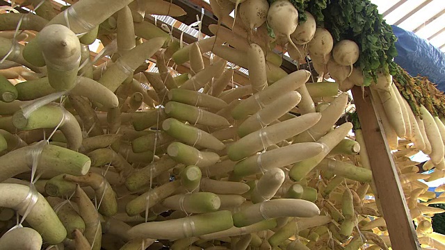 泡菜用蔬菜，北海道，日本视频素材