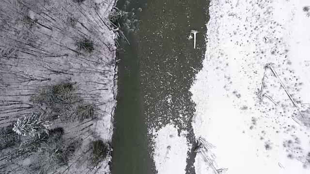 鸟瞰图的冰冷河流动在雪太平洋西北山区森林视频素材