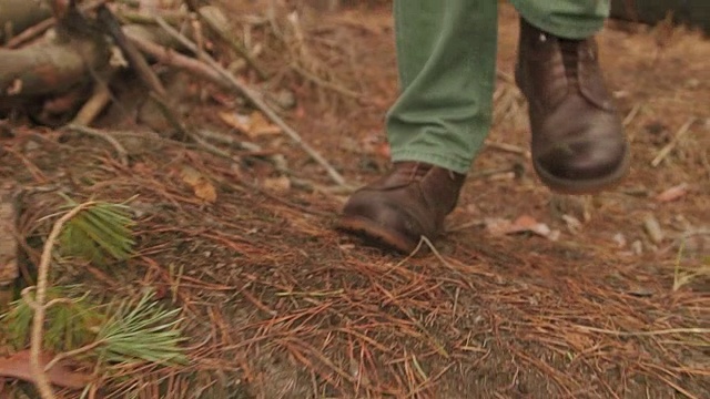 徒步旅行者在特写慢动作腿拍摄步行上山在森林视频素材