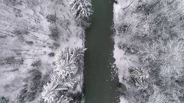 空中拍摄由冰雪覆盖的树木构成的寒冷森林河视频素材