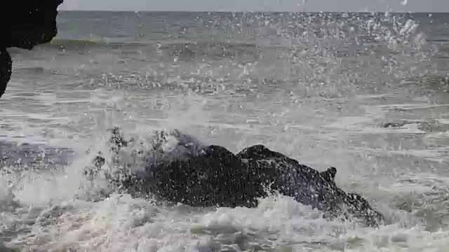 葡萄牙阿尔加维，海浪冲过岩石视频素材