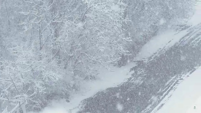 鸟瞰图的积雪覆盖的树木缓慢的运动视频素材