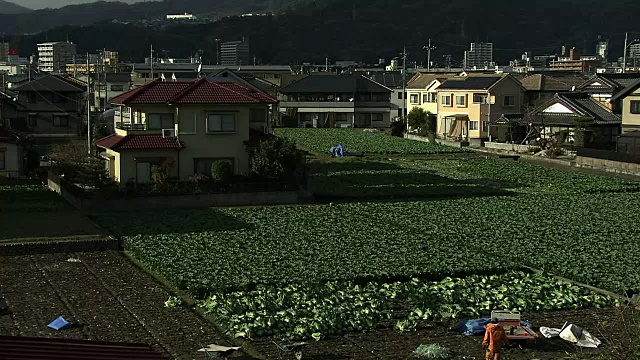 广岛，日本广岛视频素材