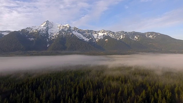 白马山喀斯喀特山脉、巨石河荒野、贝克斯诺夸尔米国家森林视频素材