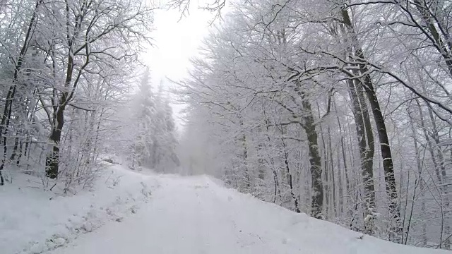 在冬天的时候，山上有一条空旷的雪覆盖的道路，两边都是树。视频素材