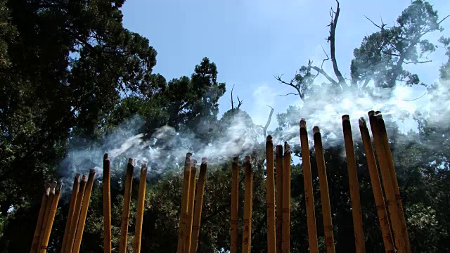 树木和蓝天映衬着熏香的烟雾。视频素材