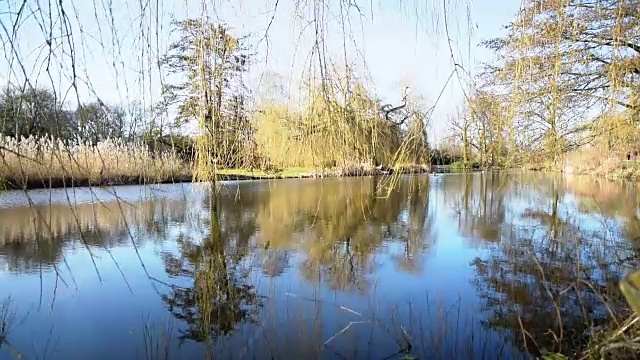 湖景汉堡的黎明视频素材